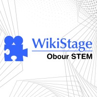 WikiStage Obour STEM logo - Similar company to Project 404