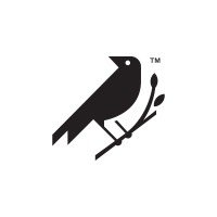 Black Bird logo - Similar company to Wellthrive