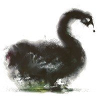 Dark Swan Institute logo - Similar company to Darkswan