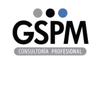 GSPM Consultoría Profesional logo - Similar company to Verifyqa