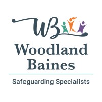 Woodland Baines Ltd logo - Similar company to Techsocietal