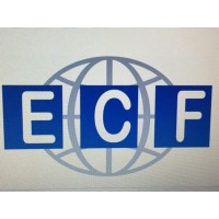 EURO CONTINENTAL FORWARDING LIMITED logo - Similar company to Central Forwarding Limited