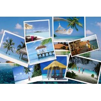 Leisure Planners logo - Similar company to Avsm Enterprises Pvt Ltd