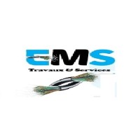 EMS Telecom logo - Similar company to Dotnet Services