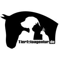 Tierfotoagentur logo - Similar company to Image Professionals Gmbh