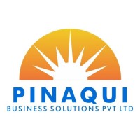 Pinaqui Business Solutions logo - Similar company to National Silicates