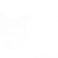 lalalal logo - Similar company to İz Architectural Design