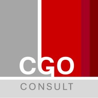 CGO Consult logo - Similar company to Team 6Ix