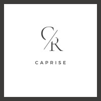 CapRise logo - Similar company to Caprize Investment Managers
