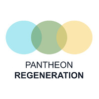 Pantheon Regeneration logo - Similar company to Gzx Software, Llc