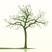 Balanced Management Inc