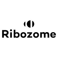 Ribozome logo - Similar company to Sleaks