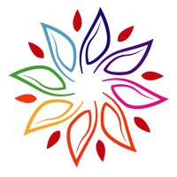 TheSHINEPrograms logo - Similar company to Ionosphere Inc.