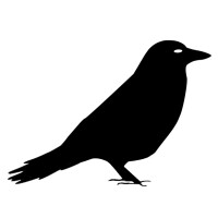 Crowlingo logo - Similar company to Chatail Technologies, Inc