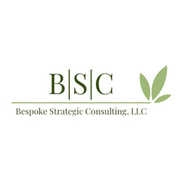 Bespoke Strategic Consulting, LLC logo - Similar company to Saleslights