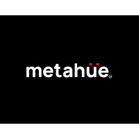 metahue ® logo - Similar company to Lofritex It Solutions