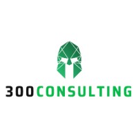 300 Consulting Oy logo - Similar company to 300 Consulting Srl