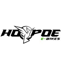 Hoopoe E-Bikes logo - Similar company to Evatva
