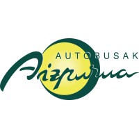 AUTOCARES AIZPURUA logo - Similar company to Autocares David