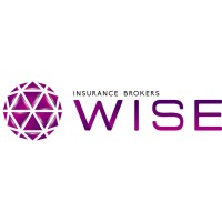 Worldwide Insurance Services Enterprise Ltd. (WISE)