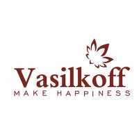 Vasilkoff CY Ltd logo - Similar company to Strecko Investments