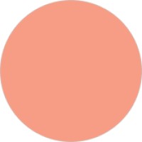 Basis logo - Similar company to Adboost Ai