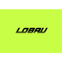 LOBAU COMPOSITES logo - Similar company to Ohm Formula Racing