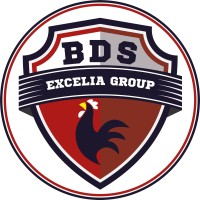 Bureau Des sports Excelia Group logo - Similar company to Bde Dionys