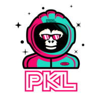 PKL Boston logo - Similar company to Ticketin Llc