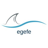 Egefe Bilişim Sağlık A.Ş. logo - Similar company to Ozicab Dijital