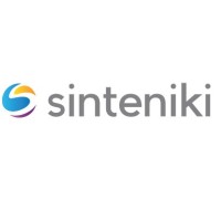 Sinteniki Seo Consultant