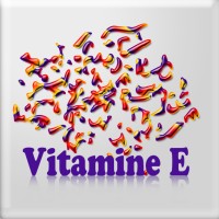Vitamine E logo - Similar company to E-Vitamine : Référencement Web Fruité | Seo, Sea