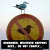 🤣Memes logo - Similar company to Memes