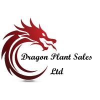 Dragon Plant Sales Ltd logo - Similar company to Lloyd Ltd