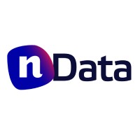 nData Solutions logo - Similar company to Ndata Services