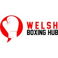Welsh Boxing Hub logo - Similar company to London School Of Economics Boxing Club