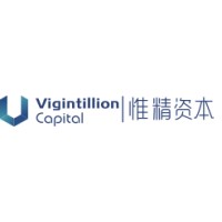 Vigintillion Capital logo - Similar company to 中化资本