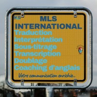 MLS (Multi-Language Services) International logo - Similar company to Amipro Language Services