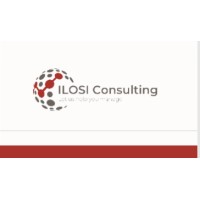 ILOSI Consulting logo - Similar company to Ilosite