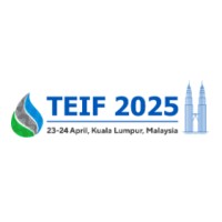TEIF2025 logo - Similar company to Llc 