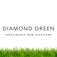Diamond Green Cyprus logo - Similar company to Safer + Safer
