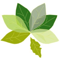 Mata Sagrada Ambiental