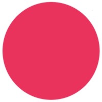Pluschev & Partners logo - Similar company to Synchronize