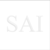 Sai Architecture Interiors logo - Similar company to Mass Architects