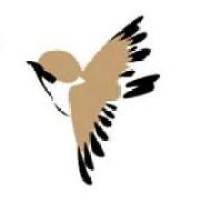 Spera Designs