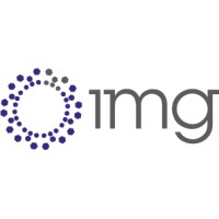 IMG Companies, LLC logo - Similar company to Img Altair, Llc (An Ichor Systems Company)