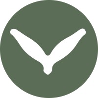Olive & Foam logo - Similar company to D65