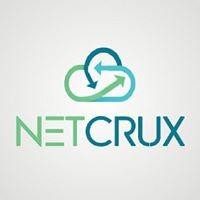 Netcrux logo - Similar company to Rit Solution