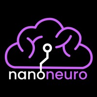 Nanoneuro Systems logo - Similar company to Ftd Testing Solutions