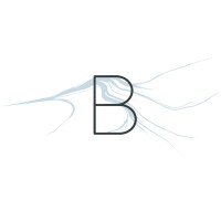 BrainArt logo - Similar company to Buzzup